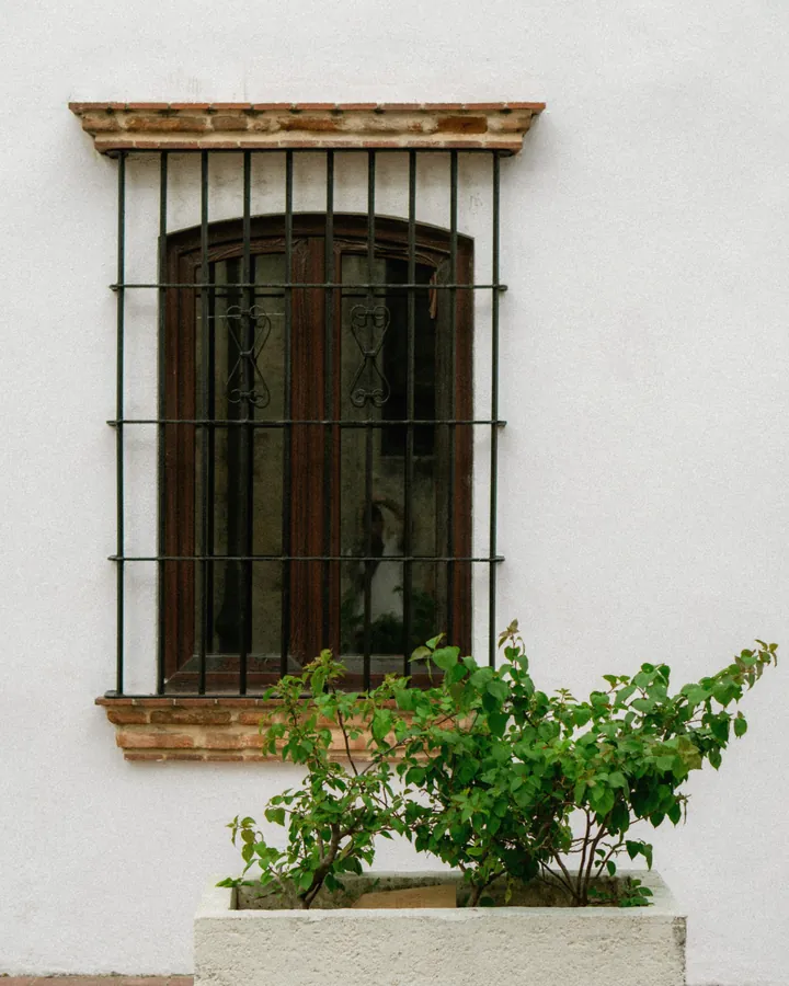 Ventana colonial con rejas y una planta en la Zona Colonial de Santo Domingo